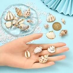 18Pcs 9 Styles Electroplate Natural Mixed Shell Pendants&nbsp;BSHE-YW0001-08