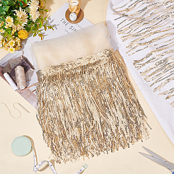 PVC Sequin/Paillette Tassel Fringe Polyester Ribbon&nbsp;DIY-WH0308-297B