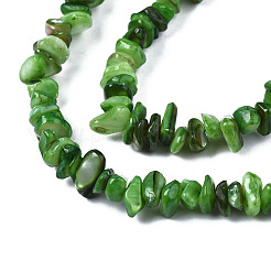 Natural Freshwater Shell Beads Strands&nbsp;SHEL-S278-070E