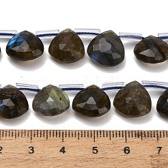 Natural Labradorite Beads Strands&nbsp;G-C292-A09-01
