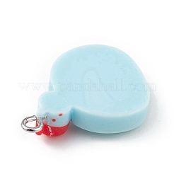 Opaque Resin Imitation Food Pendants&nbsp;RESI-D064-03P-14