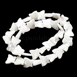 Natural Trochid Shell/Trochus Shell Beads Strands&nbsp;SSHEL-R145-02