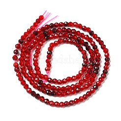 Transparent Glass Beads Strands&nbsp;GLAA-H027-01C