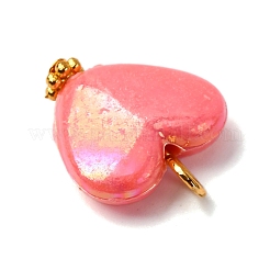 Opaque Acrylic Pendants&nbsp;PALLOY-JF04421-01