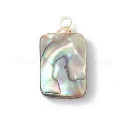 Natural Abalone Shell/Paua Shell Pendants&nbsp;PALLOY-JF04876