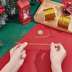 Polyester Ribbon&nbsp;OCOR-WH0082-528A
