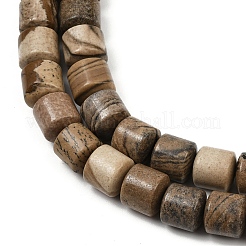 Natural Picture Jasper Beads Strands&nbsp;G-G275-D19-10x10mm