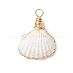 Copper Wire Wrapped Natural Shell Pendants&nbsp;PALLOY-JF03494