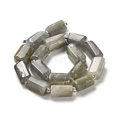 Natural Labradorite Beads Strands&nbsp;G-N327-06-06