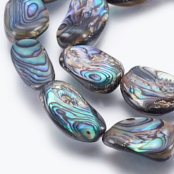 Natural Abalone Shell/Paua Shell Beads Strands&nbsp;SSHEL-P014-02