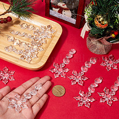 30Pcs Acrylic Pendants&nbsp;TACR-SP0001-01
