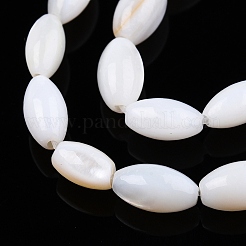 Natural Freshwater Shell Beads Strands&nbsp;X-SHEL-N026-212-A01