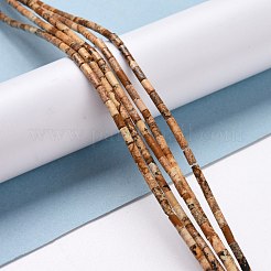 Natural Picture Jasper Beads Strands&nbsp;G-M389-12