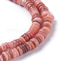 Natural Freshwater Shell Beads Strands&nbsp;BSHE-I016-04E
