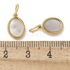 304 Stainless Steel Natural Paua Shell/White Shell Charms Ion Plating(IP)&nbsp;STAS-U037-03G-02