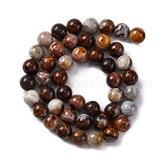 Natural Mexico Crazy Agate Beads Strands&nbsp;G-L615-A01-02