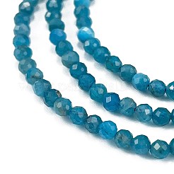 Natural Apatite Beads Strands&nbsp;G-Z057-B02-02