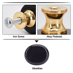 Natural Obsidian Drawer Knobs&nbsp;FIND-WH0056-40P-05