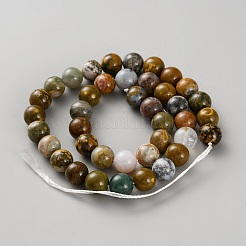 Natural Ocean Jasper Bead Strands&nbsp;G-WH0016-50