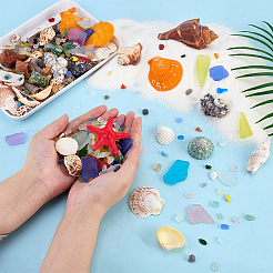 Plastic Shell & Glass  Aquarium Landscaping&nbsp;DIY-PH0035-11