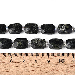 Natural Kambaba Jasper Beads Strands&nbsp;G-T139-82