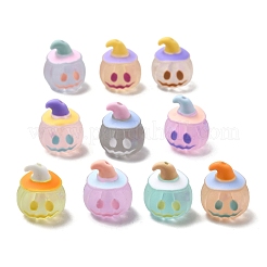 Halloween Frosted Transparent Resin Beads&nbsp;RESI-A048-01B