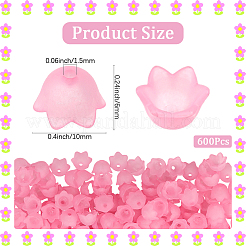 600Pcs Transparent Acrylic Bead Caps&nbsp;FACR-SC0001-02