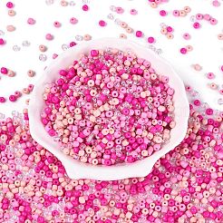 Opaque & Transparent Glass Seed Beads&nbsp;SEED-Q041-06A