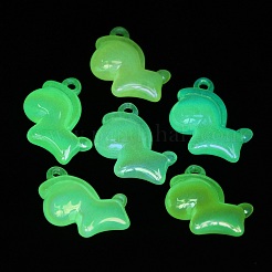 Luminous UV Plating Acrylic Pendants&nbsp;X-PACR-E003-05