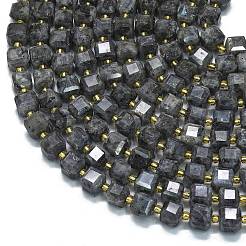 Natural Larvikite Beads Strands&nbsp;G-K389-A31-01