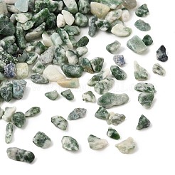 Natural Green Spot Jasper Chip Beads&nbsp;GG-CBABB01-02