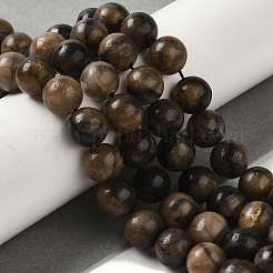 Natural Chiastolite Beads Strands&nbsp;G-Q161-A03-04