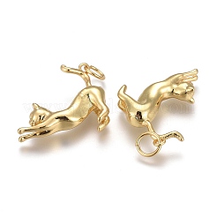 Brass Pendants&nbsp;X-KK-Z001-07G