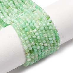 Natural Chrysoprase Beads Strands&nbsp;G-C196-A02-2mm