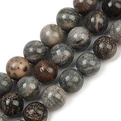 Natural Gemstone Beads Strands&nbsp;G-F792-C11-06