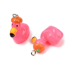 Transparent Resin Pendants&nbsp;RESI-H043-04P