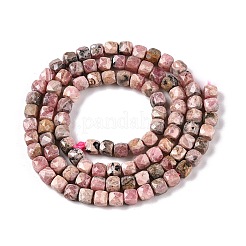 Natural Rhodonite Beads Strands&nbsp;G-N342-132