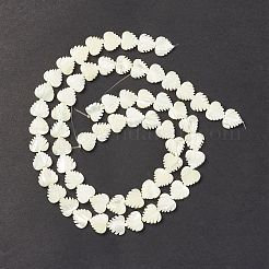 Natural Trochid Shell/Trochus Shell Beads&nbsp;SSHEL-K027-16