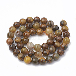 Natural Pietersite Beads Strands&nbsp;G-S333-8mm-010