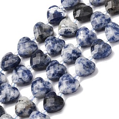 Natural Blue Spot Jasper Beads Strands&nbsp;G-P570-E19-01