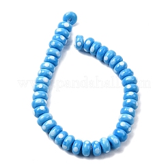 Handmade Lampwork Beads&nbsp;LAMP-Z015-01E