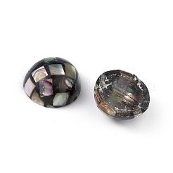 Synthetic Abalone Shell/Paua Shell Beads&nbsp;LS-SSHEL-K001-001C