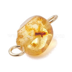 Natural Amber Connector Charms&nbsp;PALLOY-JF05158