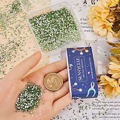 4 Bags Glass Flat Back Rhinestone&nbsp;RGLA-SC0001-06A