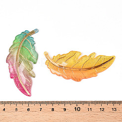 Printed Translucent Acrylic Big Pendants&nbsp;OACR-T028-25