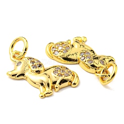 Rack Plating Brass Micro Pave Cubic Zirconia Charms&nbsp;KK-D036-19G