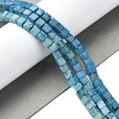 Natural Howlite Beads Strands&nbsp;G-C135-E03-01