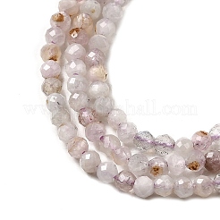 Natural Kunzite Beads Strands&nbsp;G-D340-A04-3mm