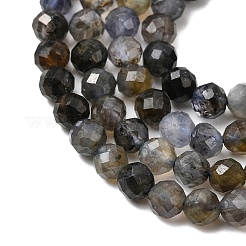 Natural Iolite Beads Strands&nbsp;G-G343-B01-4mm