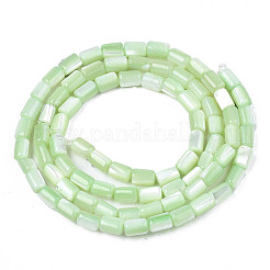 Natural Trochid Shell/Trochus Shell Beads Strands&nbsp;X-SHEL-N003-26-B08